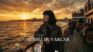 Sensiz Duvarlar (Psychedelic Rock) - The Anatolian Trip