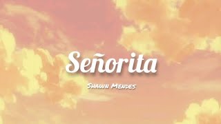 Señorita - Shawn Mendes (Lyrics)