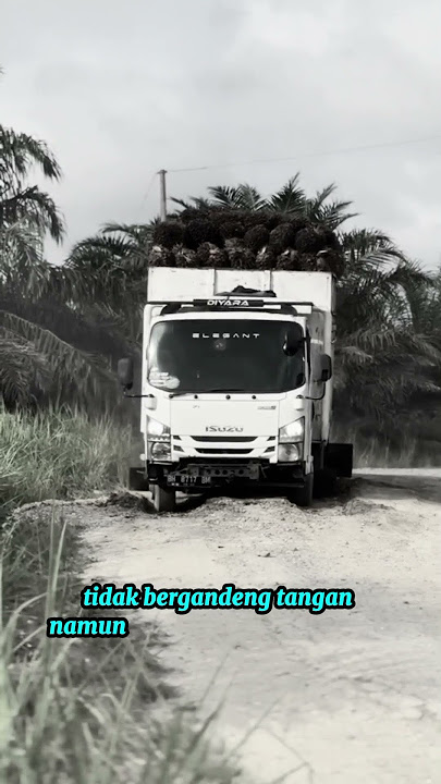 LDR cinta jarak jauh namun saling setia #videoshort #storywa