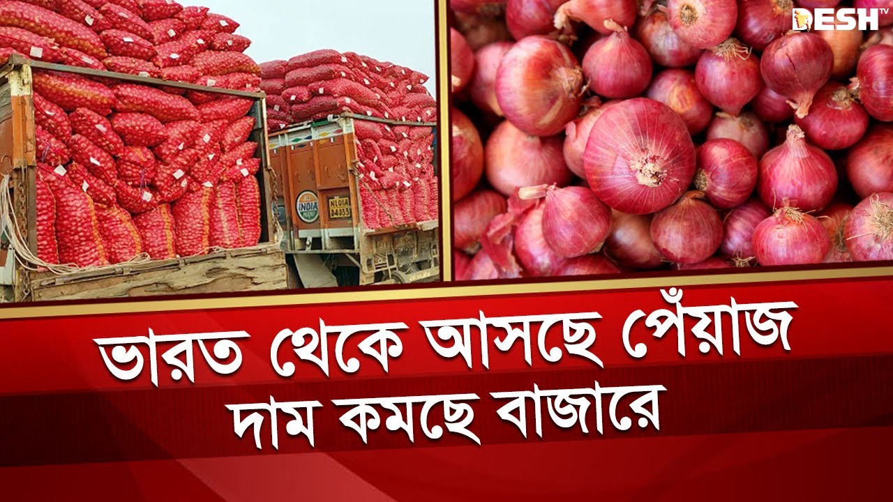 ভারত থেকে আমদানির খবরে দাম কমছে পেঁয়াজের Onion Price Indian Onion