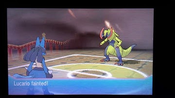 Pokémon Omega Ruby vs Elite Four Drake (Rematch)