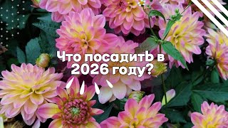 картинка: Мои идеи: что посадить в 2026 году