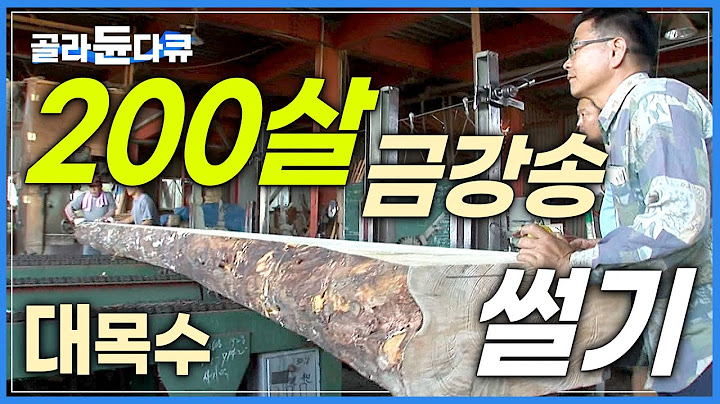 '두 번은 없다' 한 그루에 차 한 대 값하는 최고의 목재 썰기│콘크리트 시대를 살아가는 목수가 한옥을 짓는 과정│극한직업│#골라듄다큐