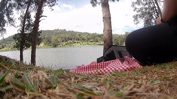 FPV Drone Tiny Go 4k First Roll