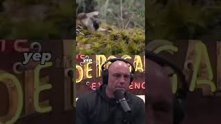 Famous Bring it up Jamie 😂 #joerogan#podcast#joeroganpodcast Net Worth