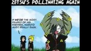Funny Deidara,Sasori,Pein,and Zetsu Slideshow