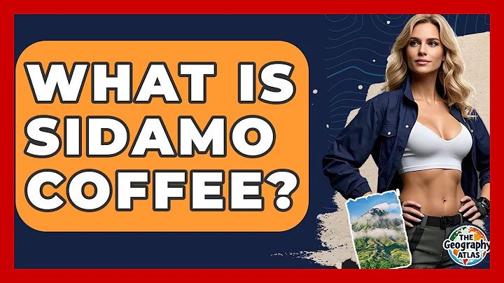 What Is Sidamo Coffee? - The Geography Atlas