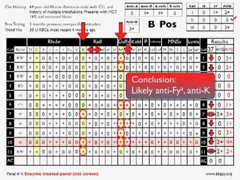 Blood Bank Antibody Chart