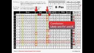 Antibody ID: Basic Cases (Part 2)