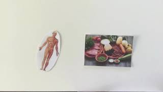 AP Bio Summer Assignment: The Omnivore’s Dilemma
