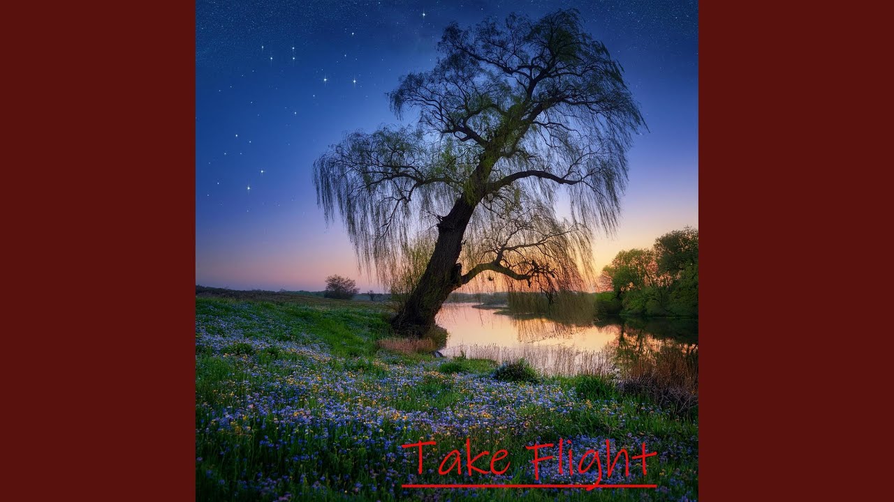 Mira Nice en YouTube Mira Nice en YouTube