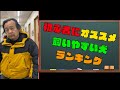 パンク町田チョイス　初心者に飼いやすい犬種ランキング