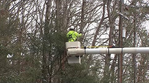 PPL electric crews working year-round on tree removal to prevent outages
