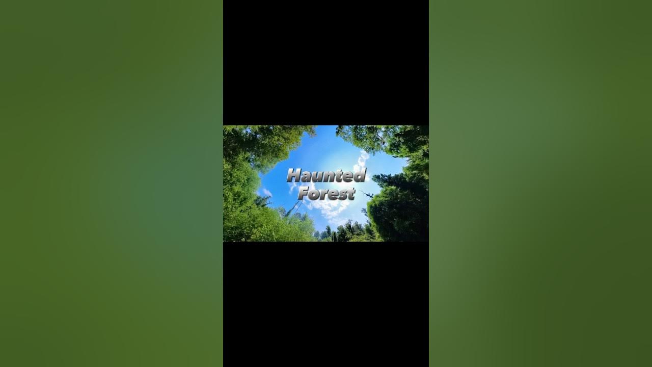 Haunted Forest Kelly Road Park Trail, Apex, NC haunted viral 