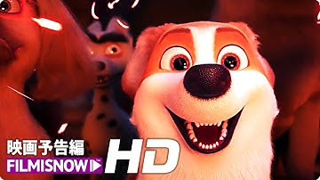 キュートでわんぱくなコーギーに世界中が夢中！！『ロイヤルコーギー　レックスの大冒険』予告編