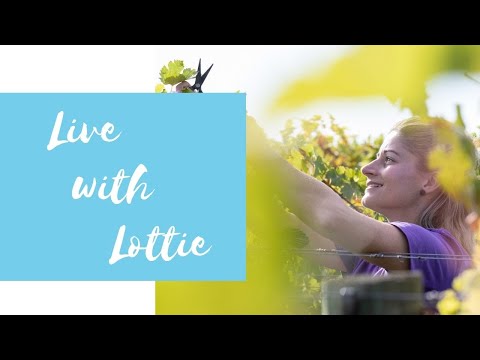 Live with Lottie - 14 March 2022