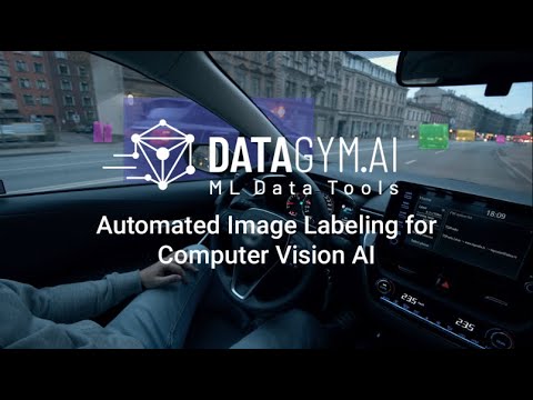 DATAGYM.AI: Automated Image Labeling for Computer Vision