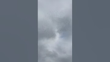 Daytime drone swarm 😱😱😱 | new drone video 2021 #shorts #fly #swarm