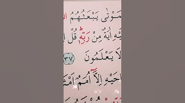 سورة الأنعام الأية 36 إلى 38 القارئ سعد الغامدي