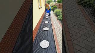 Easy Backyard Ideas Anyone Can Copy 😍🌿 #shorts #backyard #landscaping #diy #viralSimple Backyard