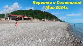 Солоники в середине мая 2024г.🌴ЛАЗАРЕВСКОЕ СЕГОДНЯ🌴СОЧИ.