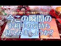 辛口!今この瞬間、お相手の気持ち☃️想い【タロット】恋愛、占い、徹底リーディング