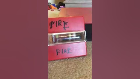 WHEELOCK RSS STROBE ONLY!!!