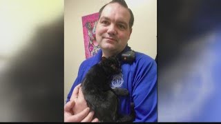 SCRAPS puts cat, who survived fire, up for adoption