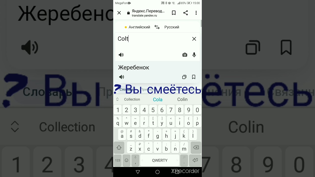 Переводчик БС 