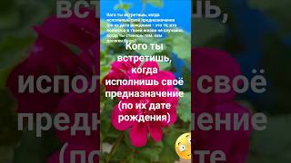 Кого ты встретишь, когда исполнишь своё предназначение (по их дате рождения) Эзотерика Знак Зодиака