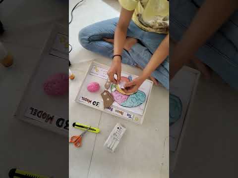 Science project on