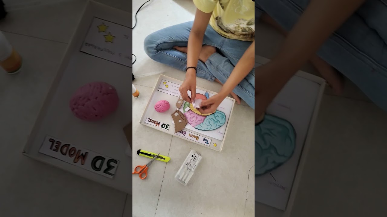 Science project on human brain