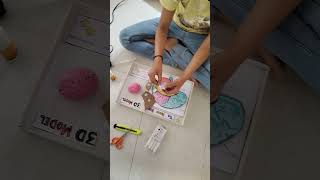 Science Project On Human Brain