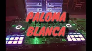 Disko - Paloma Blanca