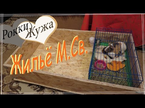 Жильё морских свинок делаем сами. Ч.1. housing guinea pigs.