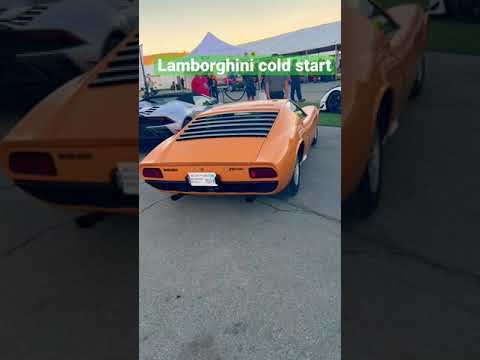 Lamborghini Miura cold start #lamborghini #miura #supercar #hypercar #carculture #coldstart