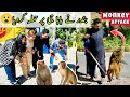 Bandar Ne BaBa G par Hamla Kar diya! 😨 | MONKEY ATTACK! 🐒 | BaBa Food RRC | Ramish Ch Vlogs