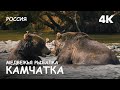 Мир Приключений - Медведи в дикой природе 4К. Курильское озеро. Камчатка. Wild bears of Kamchatka.