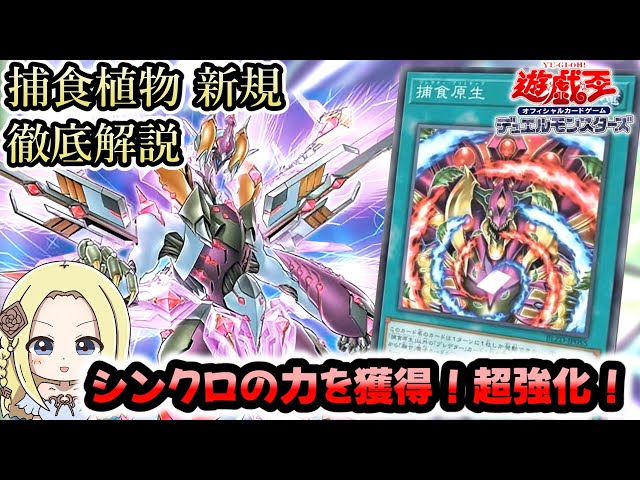 New Predator Plant] Absorb the Synchro Dimension and Super