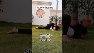 Lizard Pose (Pristhasana) | Deep Hip Opener for Flexibility &amp; Mobility
