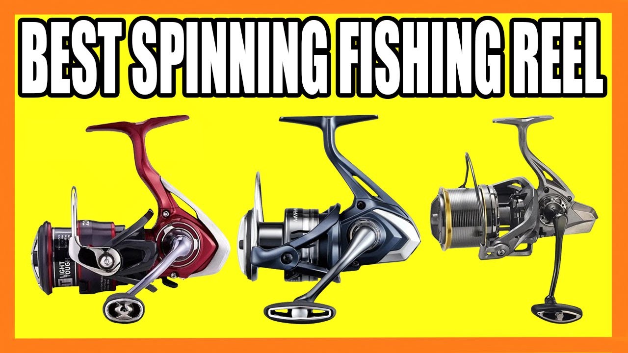 Top 5 Best Spinning Fishing Reels in 2024 - YouTube