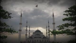 Best Mosque Cinematic Video Footage | Mosque Stock Video | Islamic Template Free Video Background