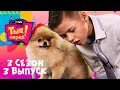 ТЫЦ-ПАРАД на CTC Kids ⭐ 3 сезон 3 выпуск ⭐