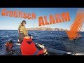 Fischen auf Großdorsch vom Kleinboot - Dorsch angeln in Norwegen VLOG Meeresangeln