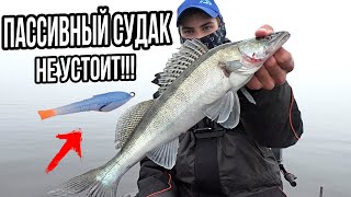 На что ловить ПАССИВНОГО СУДАКА? Ловля судака на джиг. Рыбалка на спиннинг 2021