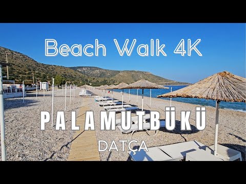 Beach Walk 4K