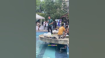 #nghienthungxop #thuysinh #extrabiovn