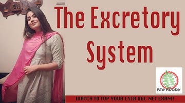 Csir Net Life Science Lectures Module Wise Chapter One Part Twenty Seven |Excretory System|