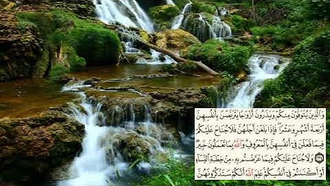 صفحة-38- page سعد الغامدي - -سورة البقرة