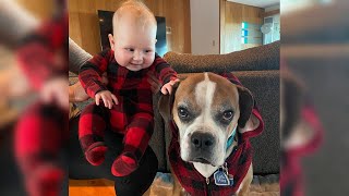 My boxer and baby are in love 🐶❤️ [Cutest Video Ever]
